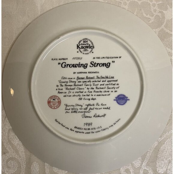Bradford Exchange Norman Rockwell GROWING STRONG 1989 Collector Plate Knowles - Picture 4 of 8